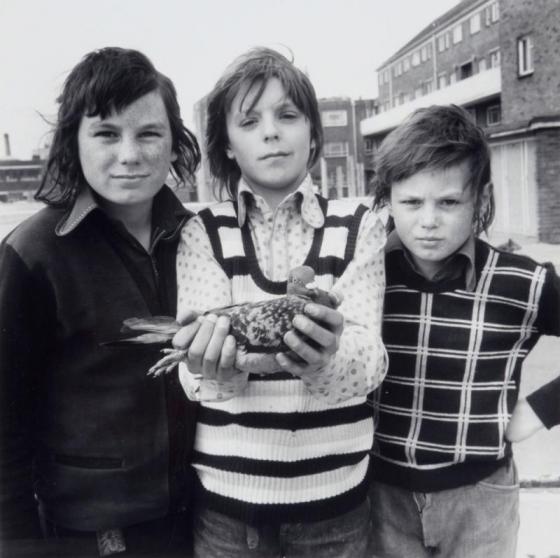 Daniel Meadows, Portsmouth: John Payne, aged 12, with two friends and his pigeon, Chequer, 26 April 1974, Arts Council Collection, Southbank Centre, Copyright the artist, 1974