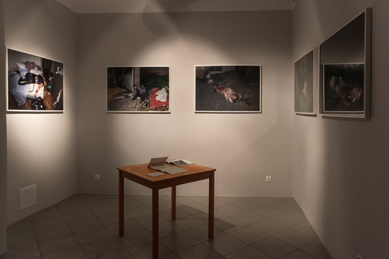 Magdalena Sakowska-Carło, "Życiowe historie", w ramach wystawy "Najlepsze dyplomy 2015", Galeria Miejska, Gdańsk, 2015; fot. Bar