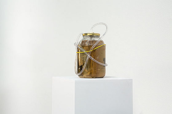 Bartek Buczek, "Ekstrakt", 2014, obiekt, woda, drożdże, cukier, książka, 30 × 20 cm, zdj. Barbara Kubska