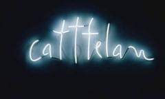 Maurizio Cattelan, Catttelan, 1994, fot. Phillips, de Pury & Co.