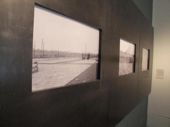 Henry Moore, Fotografie Auschwitz-Birkenau, 1958