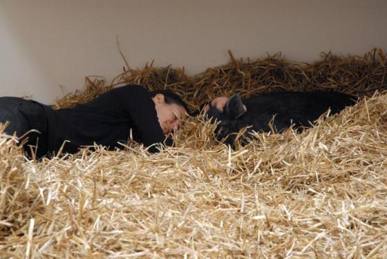 Kira O'Reilly, Falling Asleep With A Pig, wystawa Interspecies, Londyn