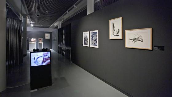 ms2: na monitorze Barbara Hammer „X“ (1973),  w tle prace El Lisickiego, kurtyna Valdis Celms „Akcent kinetyczny – wieża“ (1978), na ścianie od lewej: Klaus Pinter „Nowojorski kolaż“ (1973–2009) oraz Frederick Kiesler „Nieskończony dom (Nieskończony Paryż)“ (1947), fot. P. Tomczyk.