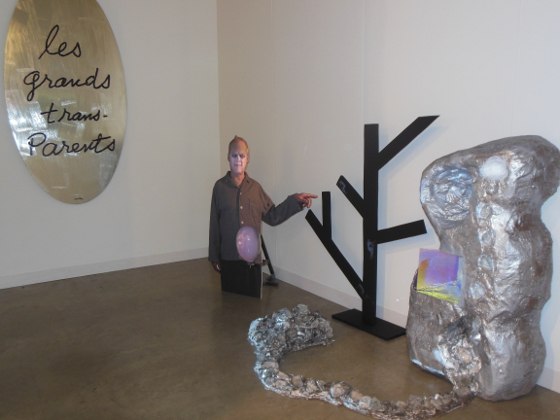 Tony Oursler, "Chromium Crawl" (2012), Galerie Hans Meyer
