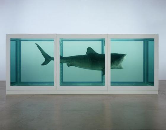 Damien Hirst, The Physical Impossibility of Death in the Mind of Someone Living 1991, Glass, steel, silicon, formaldehyde solution and shark, © Damien Hirst and Science Ltd. All rights reserved. DACS 2011. Photographed by Prudence Cuming Associates