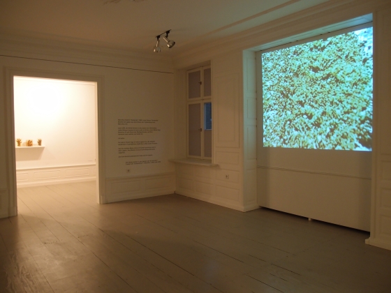 fragment ekspozycji Teresy Murak w Instytucie Polskim w Düsseldorfie
