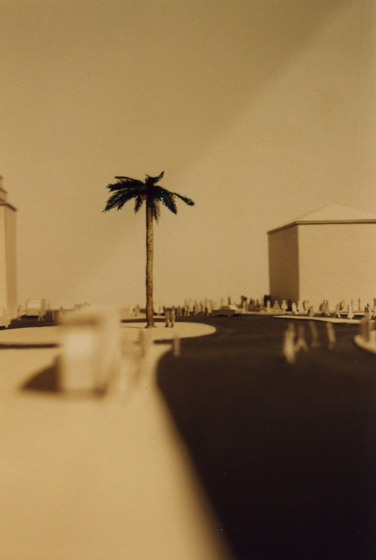 Makieta palmy, fot. Joanna Rajkowska