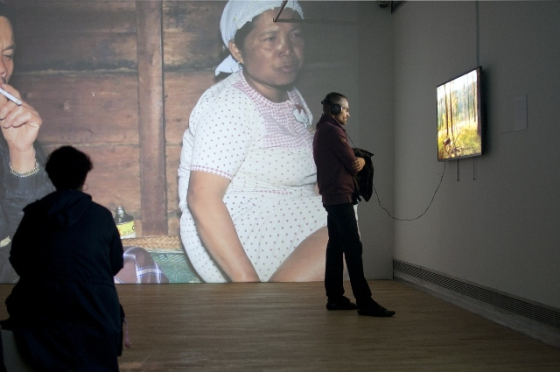 Film "Orang Pendek" Justyny Górowskiej i  Adama Gruby; fragment ekspozycji  „Nowy Duch”, Galeria Sztuki Współczesnej w Opolu.  F