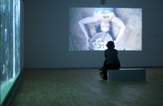 Film Magdy Starskiej "Najważniejsze jest słońce" (20110; ragment ekspozycji  „Nowy Duch”, Galeria Sztuki Współczesnej w Opolu.