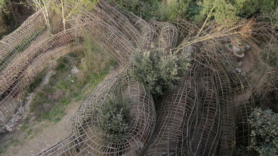 „Twórca dżungli", (Sobre la marxa), reż. Jordi Morató, Hiszpania 2014
