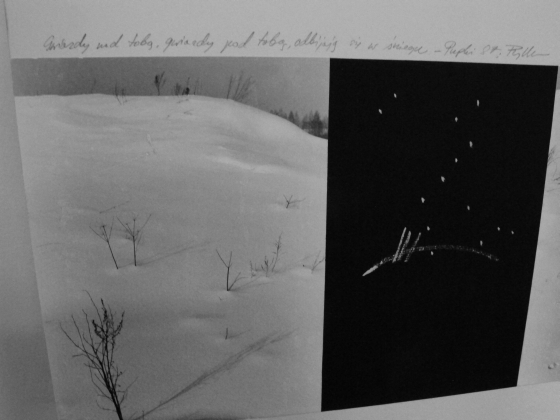Jan Rylke, „Gwiazdy nad tobą, gwiazdy pod tobą, odbijają się w śniegu&quot;, 1987, fragment dokumentacji autorskiej