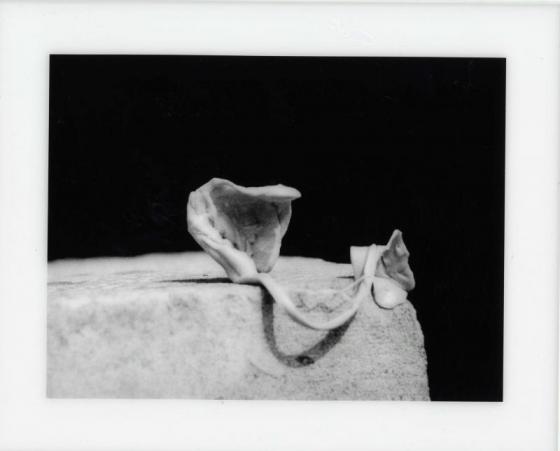 Alina Szapocznikow, Fotorzeźba, 1971, czarnobiała fotografia, 25 x 18 cm, © Piotr Stanisławski, dzięki uprzejmości The East Wing
