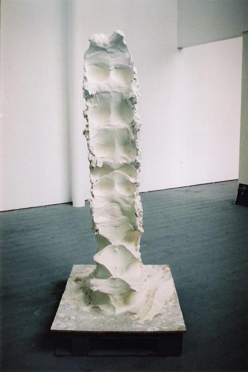 Juliana Cerquiera Leite, Obiekt wykonany poprzez nakładanie mokrego gipsu pionowo na ciało jako jedyne wsparcie, 2006, gips, 70
