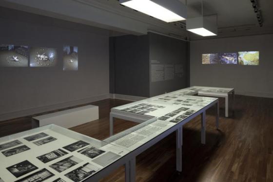 Operator's Exercises, Open Form Film and Architecture,  Arthur Ross Architectual Gallery, Columbia University,  Nowy Jork