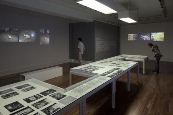 Operator's Exercises, Open Form Film and Architecture,  Arthur Ross Architectual Gallery, Columbia University,  Nowy Jork