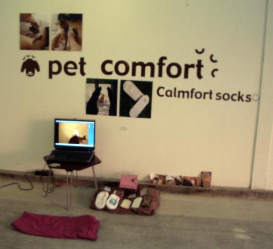 Connie Hwang, Cat(s) and Dog(s) - project Scratch Scratch Revolution... The Itch Be Gone!!!