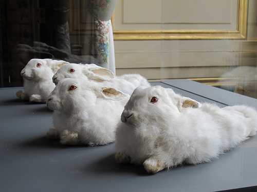 Wim Delvoye, Without title (Rabbit Slippers) (2008) by Yvette Gauthier All Rights Reserved
