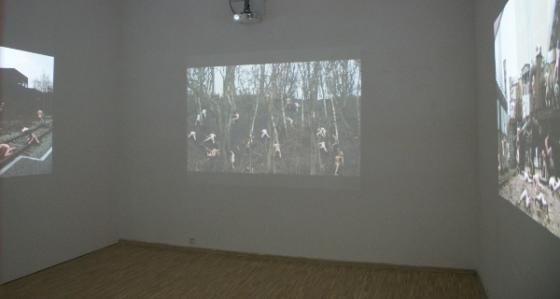 Dmitry Paranyushkin & Diego Agullo, THE HUMPING PACT, video instalacja, 2011